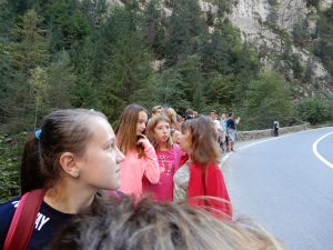 image455